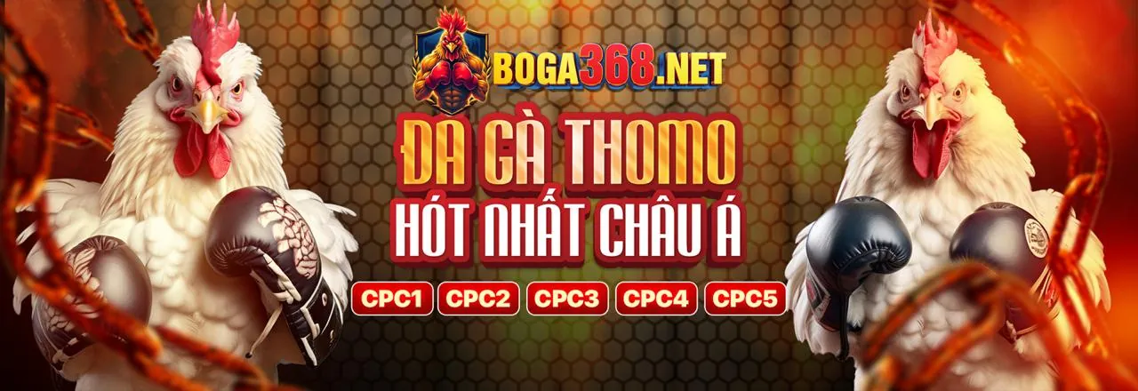 Đá gà TA28 Link Mới - Sân chơi đẳng cấp